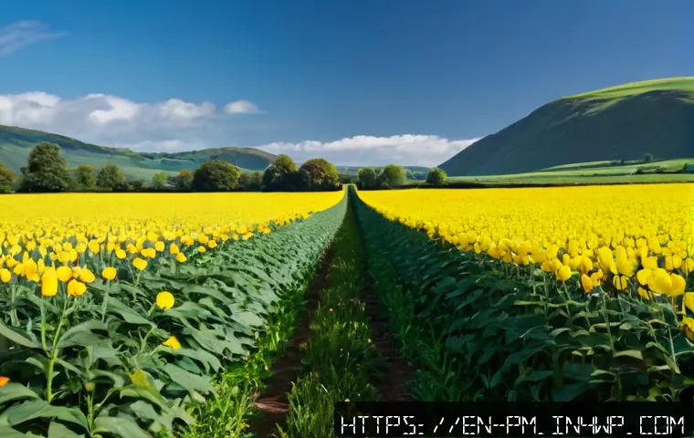How to Manage Your Time While Building a More Authentic Life 4 진정성을 찾는 과정에서의 시간 관리 관련 이미지 2